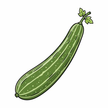Yılan Kabağı Vektör İllüstrasyonu Beyaz Arkaplanda Taze Uzun Yeşil Sebze