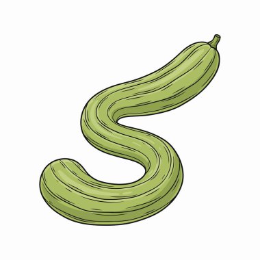 Tarım ve Sağlıklı Gıda Temaları İçin Organik Yılan Kabağı Düz Renkli Botanik Çizimi