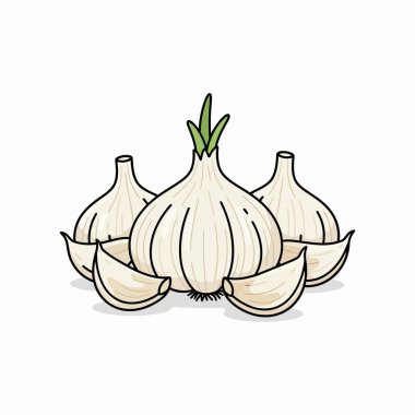 vector illustration of cartoon garlic