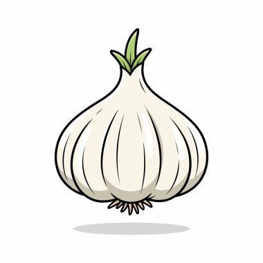 sarımsak karikatür çizimi