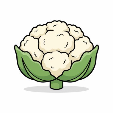 karnabahar çizgi filmi çizimi. Karnabahar vektör sanatı beyaz