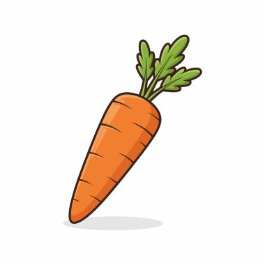 taze havuç sebze izole edilmiş ikon