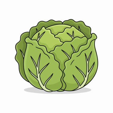 lahana ikonu. vektör illüstrasyonu