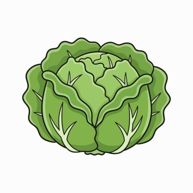 Vektör çizimi. Karikatür lahanası. lahana ikonu. Lahana. beyaz arkaplanda izole.