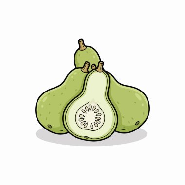 Beyaz üzerine şişe kabağı vektör sanatı