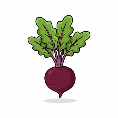 Pancar taze karikatür izole vektör illüstrasyon grafik tasarımı