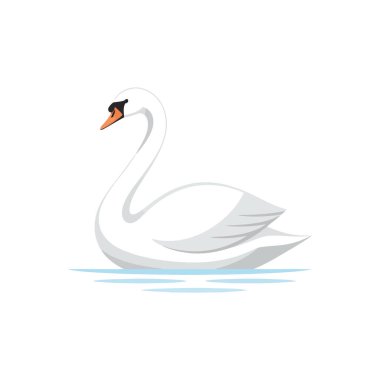 Beyaz arkaplandaki bir kuğunun vektör çizimi