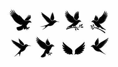 Siyah kuşların siluetleri