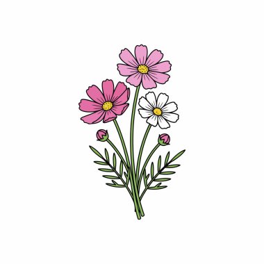 Kozmos çiçek vektörü beyaz üzerine güzel çiçekler dekoratif simge