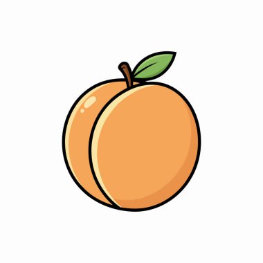Fresh Ripe Peach Fruit with Leaf Illustration