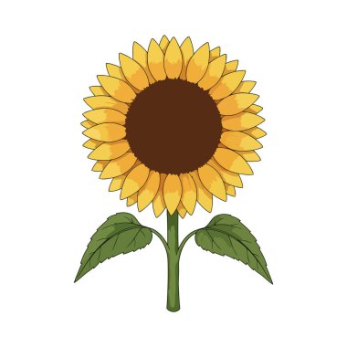 ayçiçeği doğa ikonu vektör çizim tasarımı