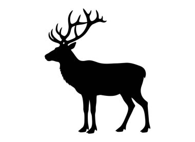 Boynuzlu bir geyiğin silueti.