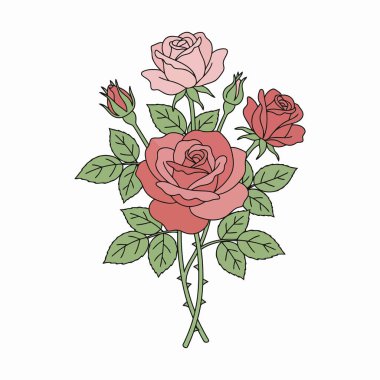 Gül çiçeği ve yapraklar, Gül çiçeği vektörü beyaz