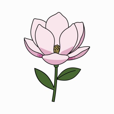 izole Magnolia çiçek karikatür tasarımı vektör çizimi