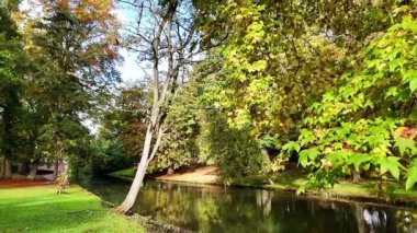 Parlak sonbahar yeşilliği, huzurlu bir park ortamını nazikçe akan bir akıntıyla çevreler. Yapraklar rüzgarda dans eder mevsimsel güzellik ve sükunetle dolu güzel bir sahne yaratır..