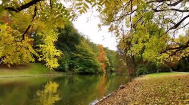 Parlak sonbahar renkleri parktaki sakin bir gölün yanında yapraklar yavaşça düşerken parlıyor. Huzurlu atmosfer, doğanın barışçıl yansımasını ve eğlencesini davet eder güzellik..