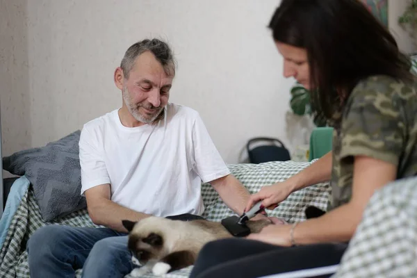 Bir adam ve bir kadın oturma odasında bir kanepede otururken bir Siyam kedisini fırçayla okşayıp tımar ediyorlar. Evcil hayvanlarıyla vakit geçiriyorlar..