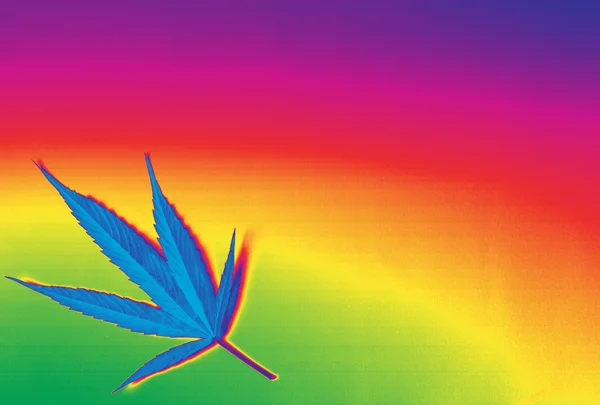 Hermoso arco iris marihuana ganja fondo — Foto de Stock