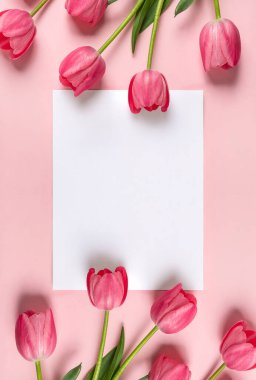 Açık pembe arka planda beyaz kağıt harfli pembe laleler. Geniş çiçek pankartı. Kutlama kartı, Sevgililer Günü, 8 Mart, Kadınlar Günü, Anneler Günü, Üst Manzara