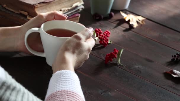 在阳光明媚的木桌上 女性的手捧着白杯热茶 热气腾腾 健康的生活方式设计 秋天的叶子 红色的浆果背景 早上的概念 复制空间 — 图库视频影像