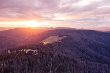 Altın ışıklı tepeler ve vadilerle Dağ Ormanı 'nın üzerinde ılık gün batımı