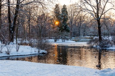 Kış Parkı Gölü, Sunset 'te, ağaçlar ve taş köprüyle kaplı. Huzurlu bir manzara yaratıyor. Altın Saat