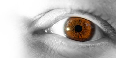 Kahverengi Gözlü Iris Macro yakın plan Güvenlik Gözetlemesi Odaklanma ve Biyometrik Detayları gösteriyor. Seçici Renk Tekniği