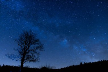 Ağaç Silueti ve Samanyolu Galaksisi ile Yıldızlı Mavi Gece Gökyüzü Huzurlu Astronomi Uzay Alanı Oluşturuyor. Astrofotoğrafçılık Fikri