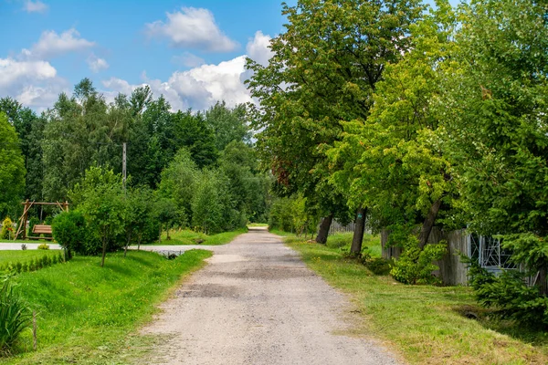 Rural Country Road Between Green Trees And Gardens Under Blue Sky Summer Landscape. Idyllic Rural Life