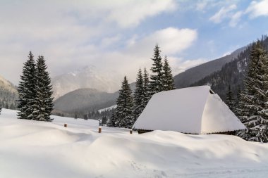 Ağaçlar ve orman manzaralı küçük dağ kulübesi, Noel kartı için huzurlu kış gezisi manzarası, tatil kartı, kış tatili tatili