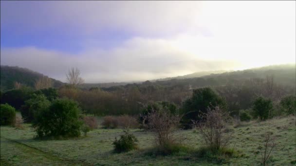 Lever de soleil avec brouillard — Video