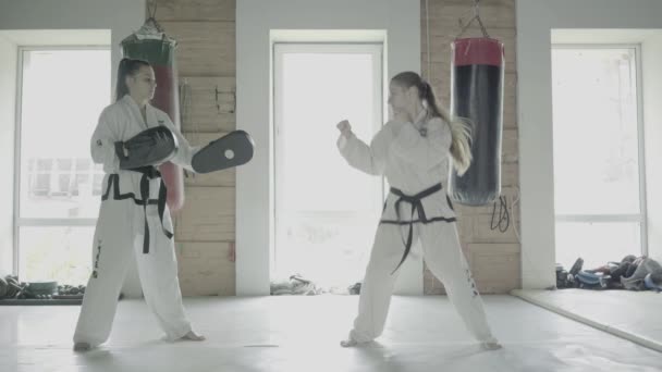 Zeitlupe Zwei Taekwondo-Mädchen trainieren für einen Tritt auf die Boxpfote — Stockvideo