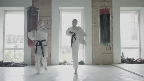 Two Taekwondo Girls Train For A Kick — Stock Video