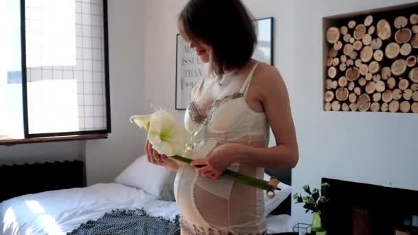 Zwangerschap Moederschap Moederschap Liefde Zorg Concept — Stockvideo