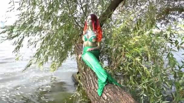 Mermaid Sits Tree Water Slow Motion — Stock video