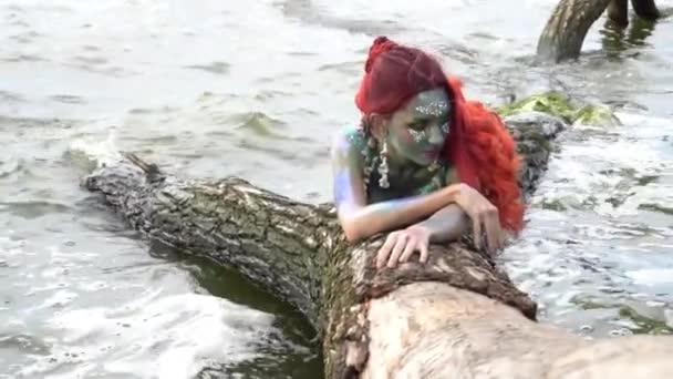 Sirène Repose Sur Arbre Autour Eau Ralenti — Video