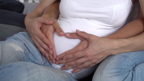 Mutlu Genç Çift Ellerini Hamile Eşinin Karnına Koyuyor — Stok video