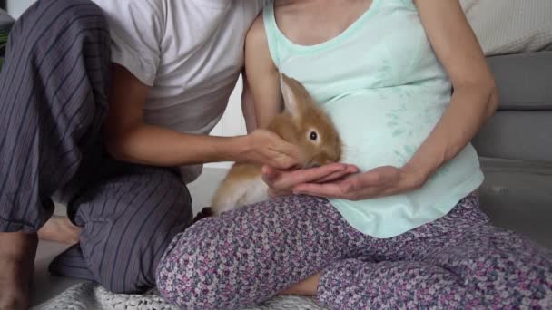 Couple Enceinte Sent Amour Détendre Maison Slow Motion Avec Lapin — Video