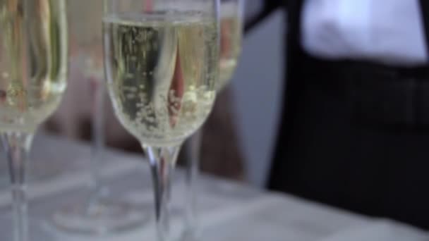 Les Serveurs Accueillent Les Clients Avec Des Boissons Alcoolisées Champagne — Video