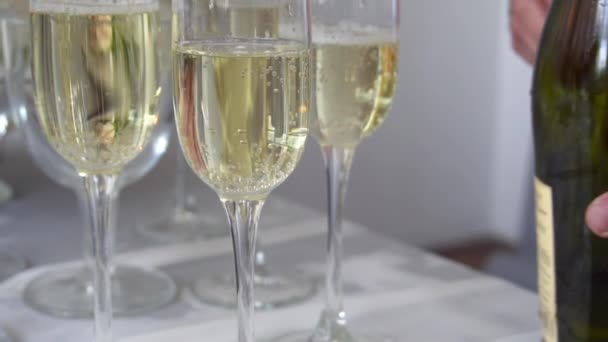 Glasses Sparkling Wine Light Close Lots Gas Bubbles Slow Motion — Stock Video