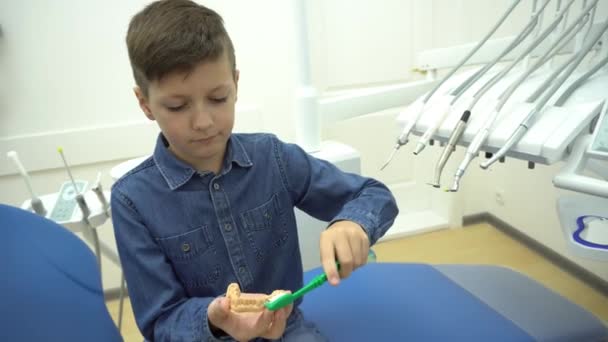 Junge Lernt Zähneputzen Kiefermodell Mit Großer Zahnbürste Zahnklinik — Stockvideo