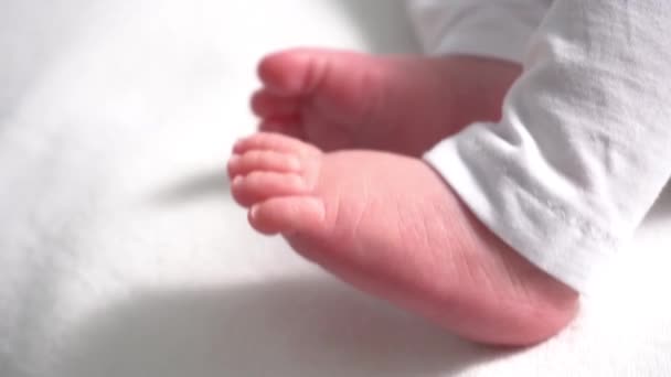 Newborn Little Baby Feet — Stockvideo