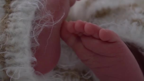 Primer Plano Los Pies Del Pequeño Bebé Recién Nacido Hermosa — Vídeo de stock