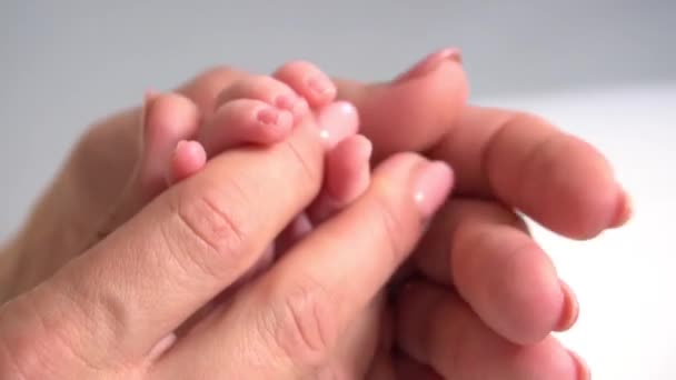 Parent Hands Holding Newborn Baby Fingers Close Mother Hand Holding — Stock Video