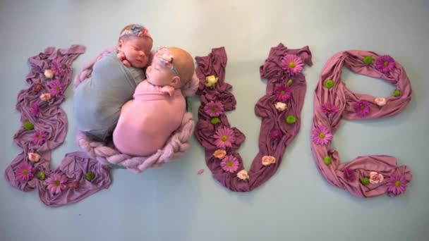 Newborn Pink Flower Word Love — Stock Video