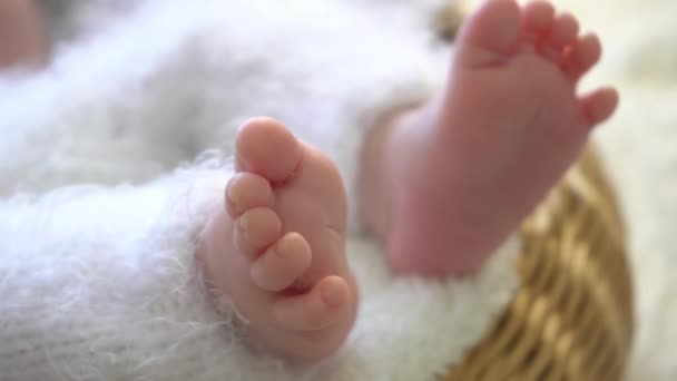 Vingers Van Een Pasgeboren Baby — Stockvideo