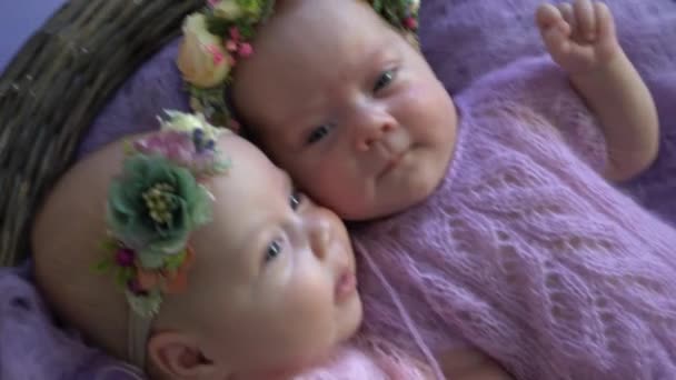 Newborn Twin Sisters Sleep — ストック動画