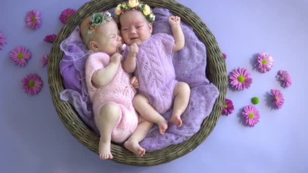 Sleeping Newborn Girl Lies Basket Newborn Twins Purple — Stock Video