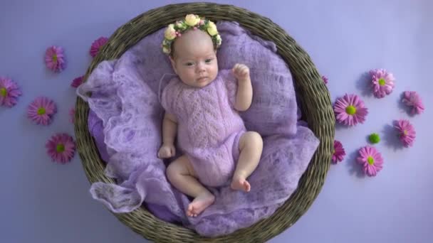 Neonato Ragazza Una Coperta Lavanda Dorme Cesto — Video Stock