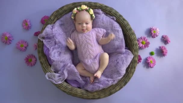 4K可爱的新生儿在紫色背景的柳条篮 顶部视图 — 图库视频影像